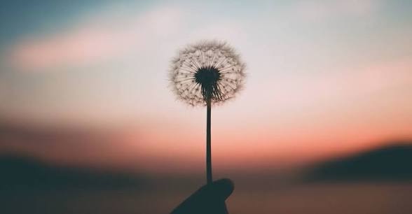 A life book:&nbsp;If your life were a book, what would its central theme&nbsp;be?