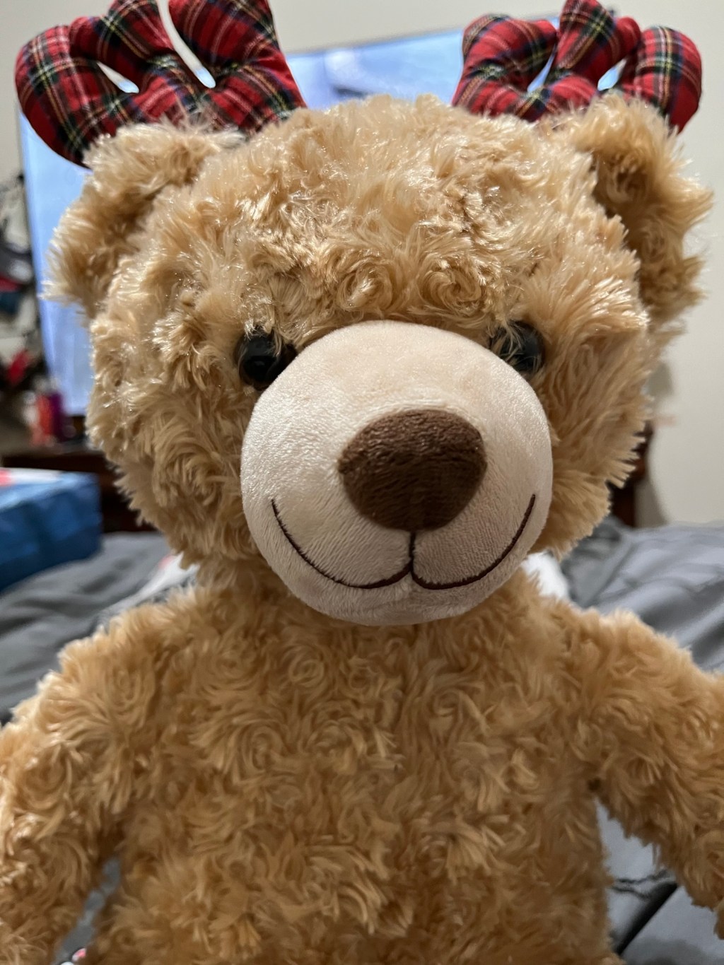 My new teddy&nbsp;bear