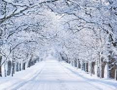 Excited for the snow